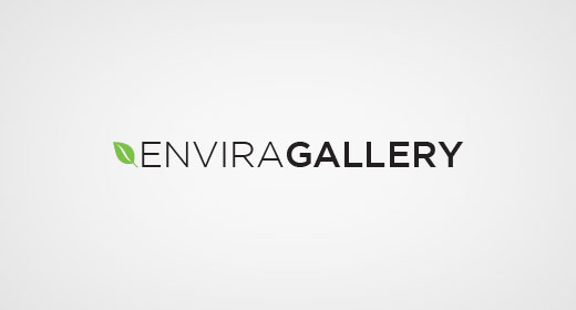 enviragallery[1]