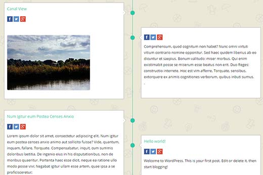 facebook-timeline-wordpress[1]